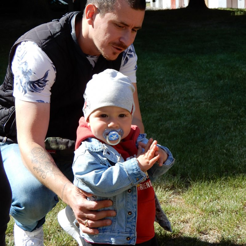 Életfa ültetés a város napján 19